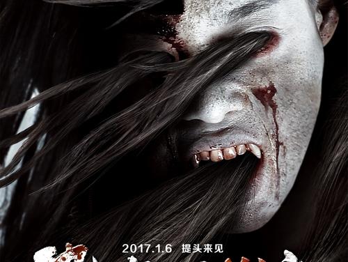 伯利圣经学院Diploma